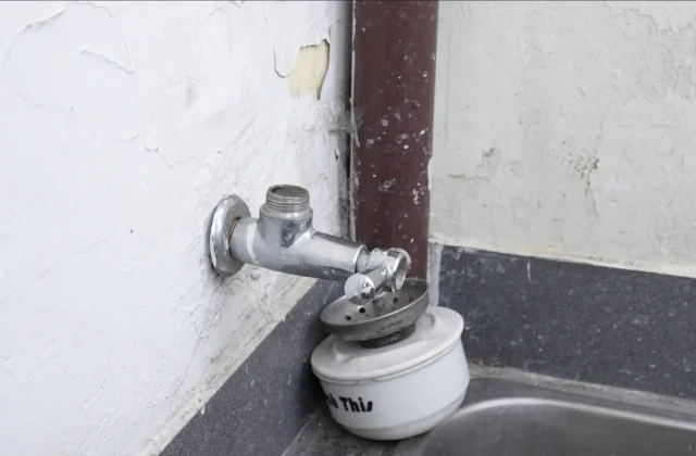 Moho en paredes: señales que un plomero puede detectar en tu instalación